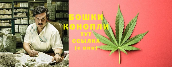 трава Верея